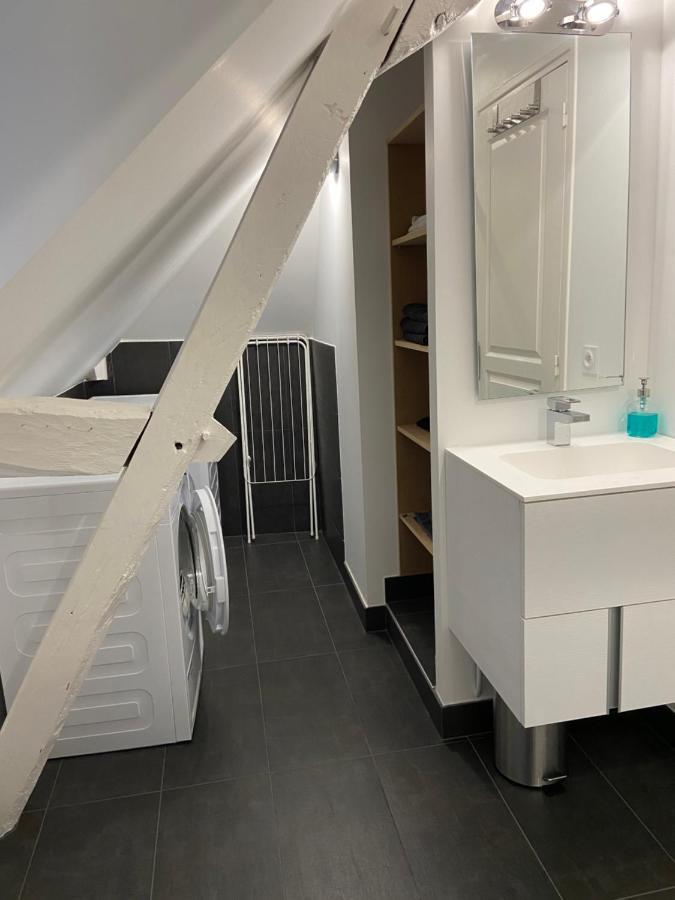 Appartement Du Chateau De La Caillerie Avoine 外观 照片