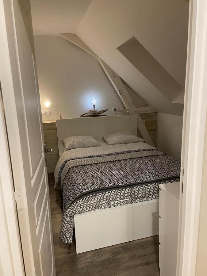 Appartement Du Chateau De La Caillerie Avoine 外观 照片